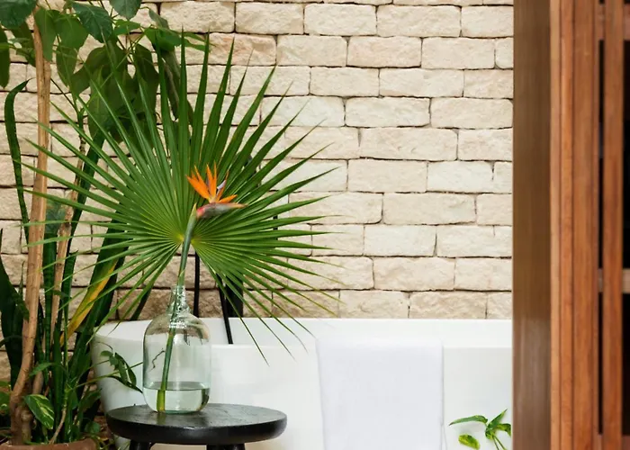 Villa Jungle Keva & Venue Tulum