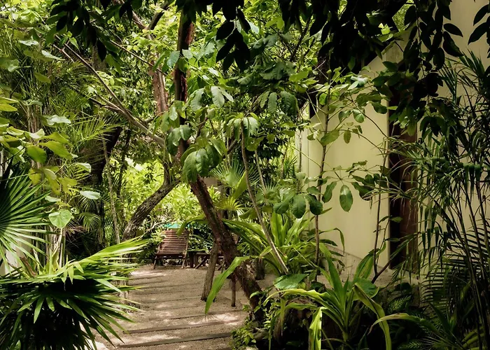 Villa Jungle Keva & Venue Tulum