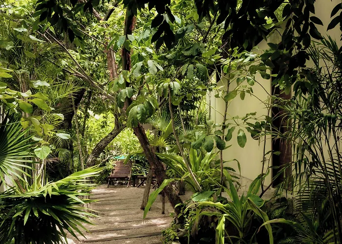 Jungle Keva & Venue * Tulum