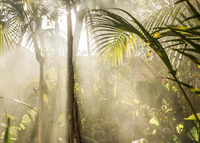 Jungle Keva & Venue Villa Tulum